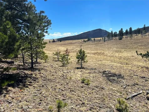Singletree Road Buena Vista CO 81211