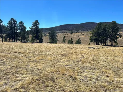 Singletree Road Buena Vista CO 81211