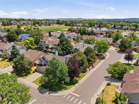 6550 Ashburn Lane Highlands Ranch CO 80130