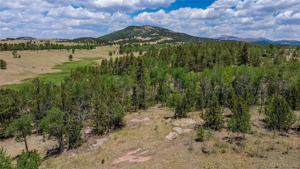 3243 County Road 86 Victor CO 80860