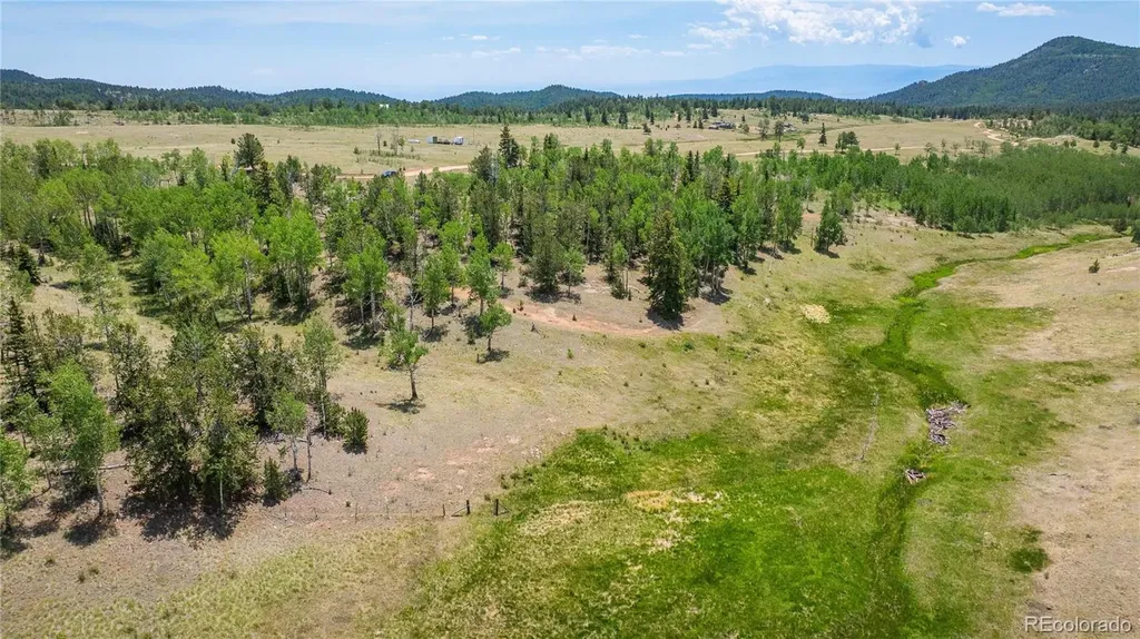 3243 County Road 86 Victor CO 80860