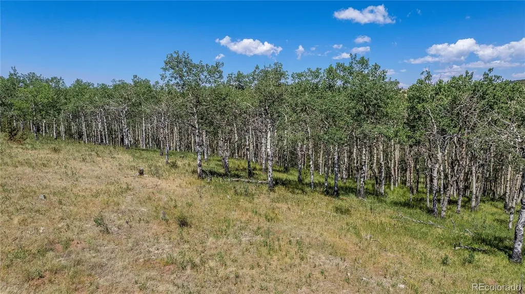 3243 County Road 86 Victor CO 80860