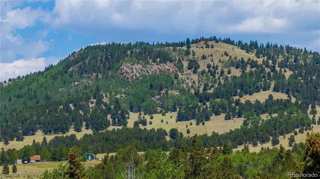 3243 County Road 86 Victor CO 80860