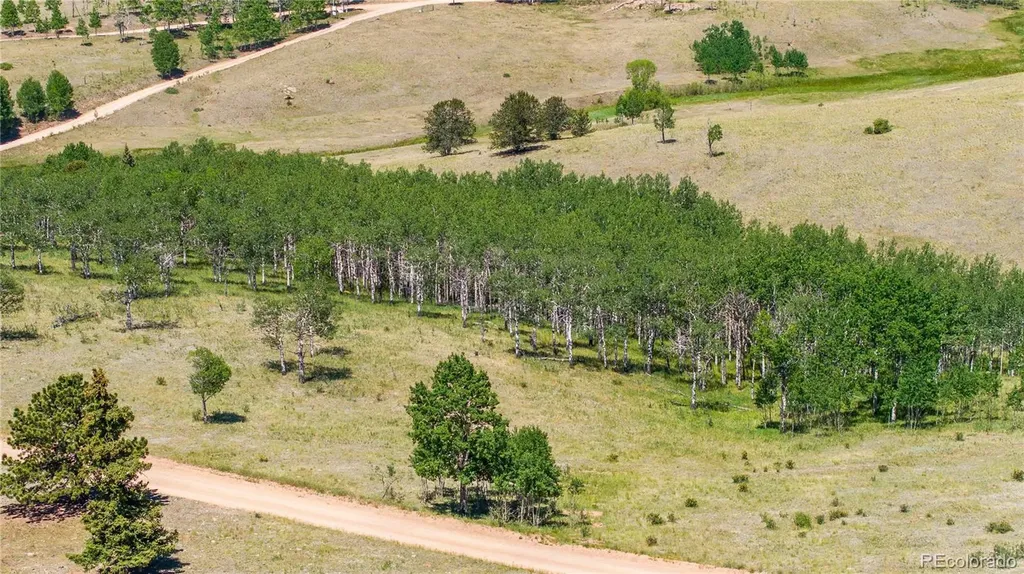 3243 County Road 86 Victor CO 80860