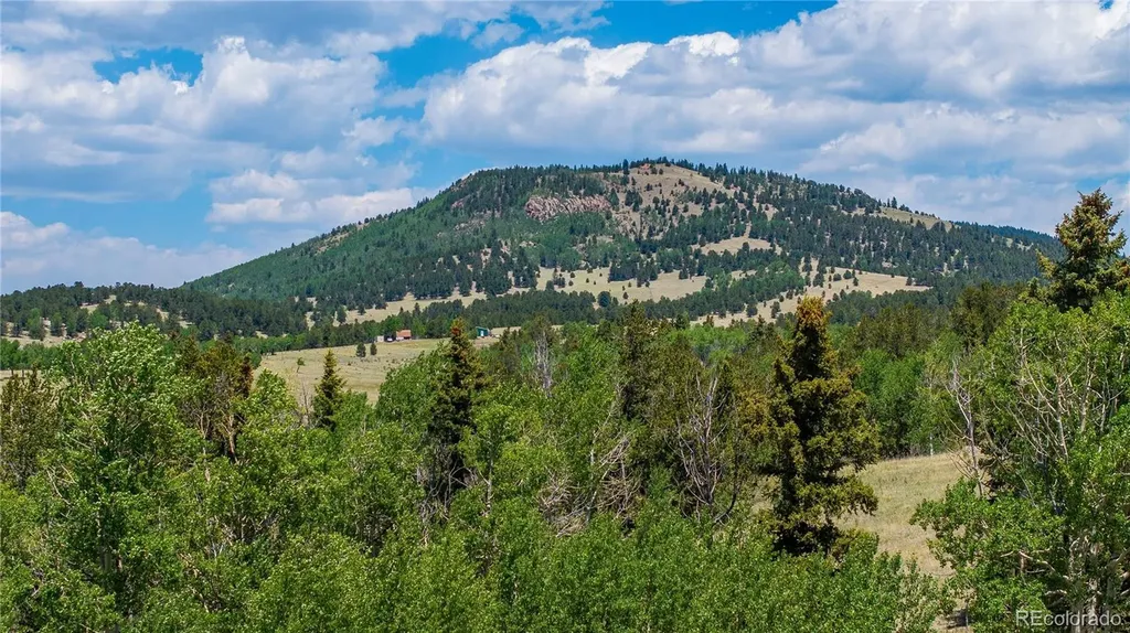 3243 County Road 86 Victor CO 80860