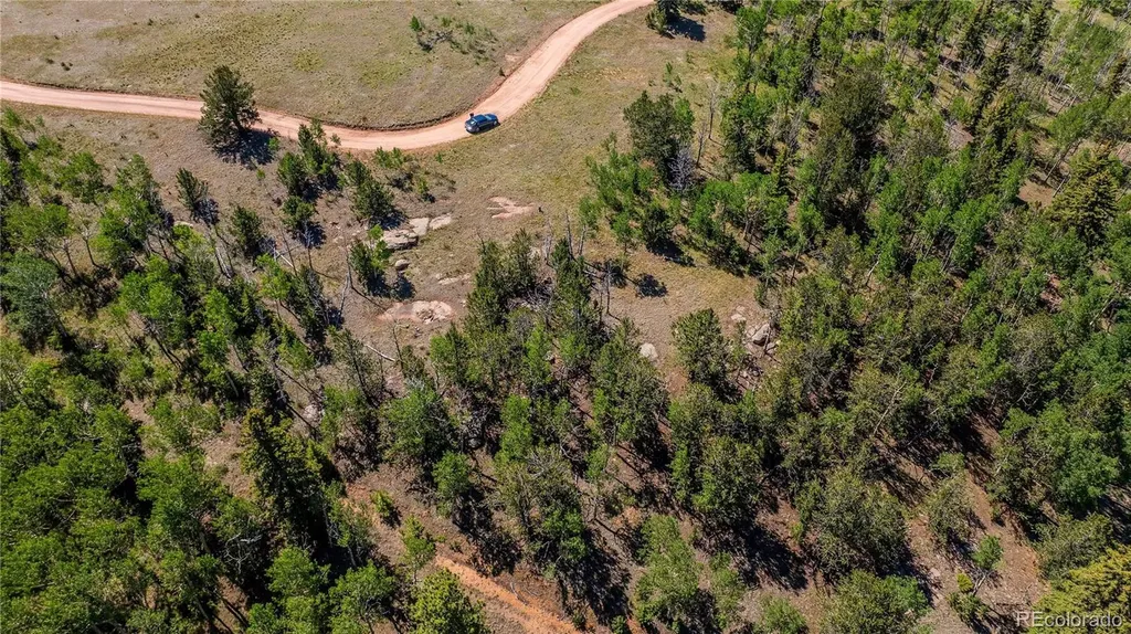 3243 County Road 86 Victor CO 80860