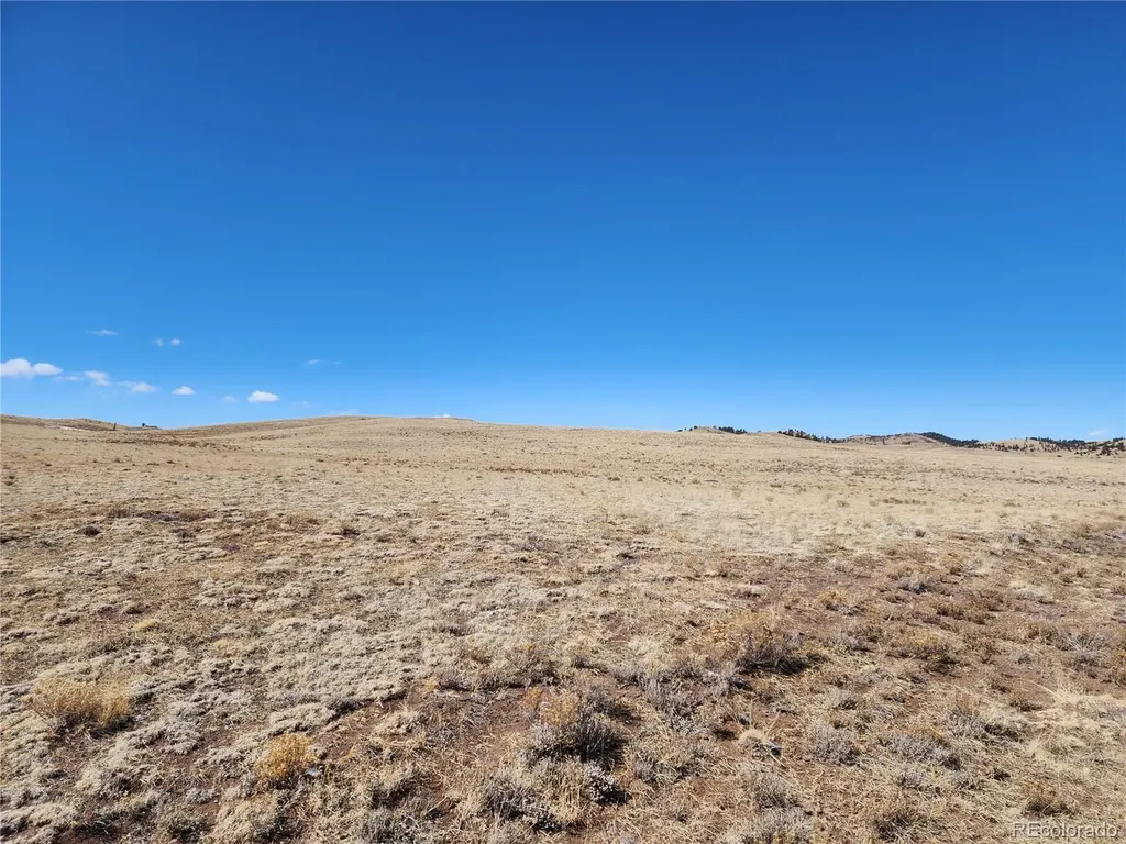 7097 Watonga Road Hartsel CO 80449