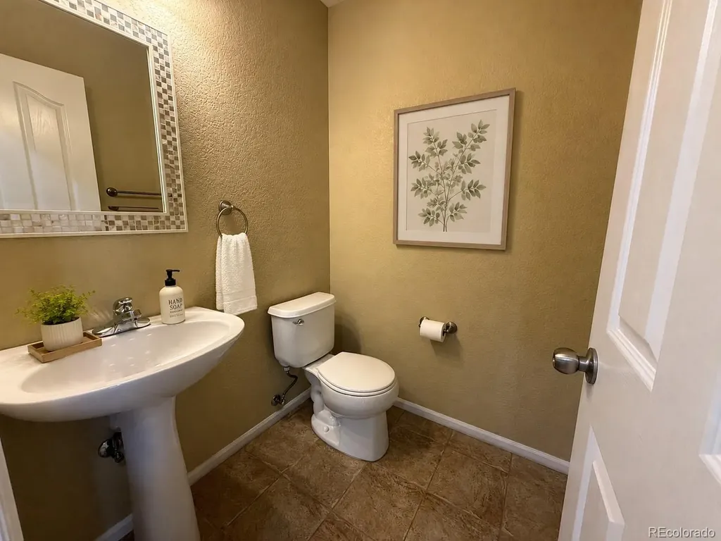 789 Bristle Pine Circle Highlands Ranch CO 80129