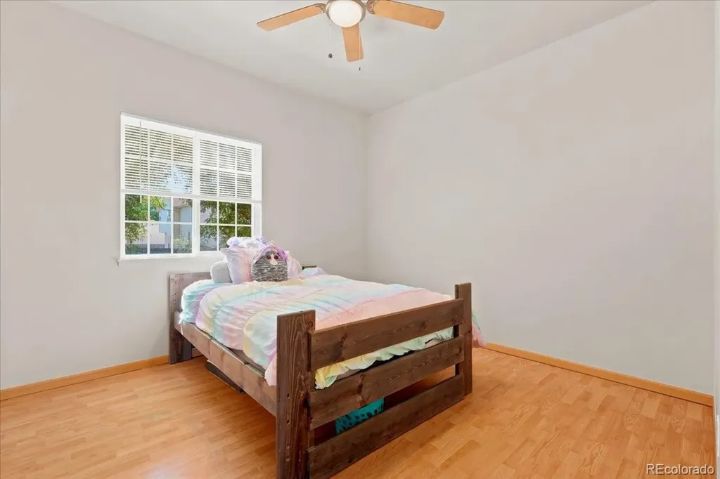1116 Summit Court Windsor CO 80550