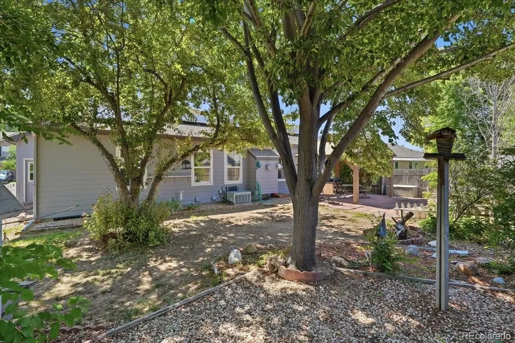 1116 Summit Court Windsor CO 80550