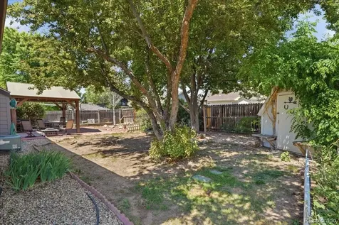 1116 Summit Court Windsor CO 80550
