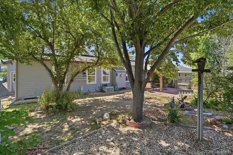 1116 Summit Court Windsor CO 80550