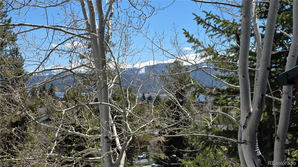 53 Skyline Drive Dillon CO 80435