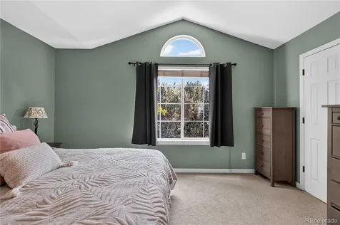 10015 Silver Maple Road Highlands Ranch CO 80129