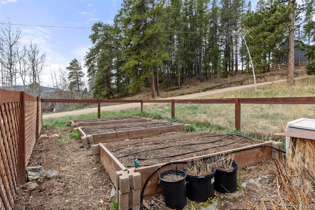 307 Dudes Drive Rollinsville CO 80474