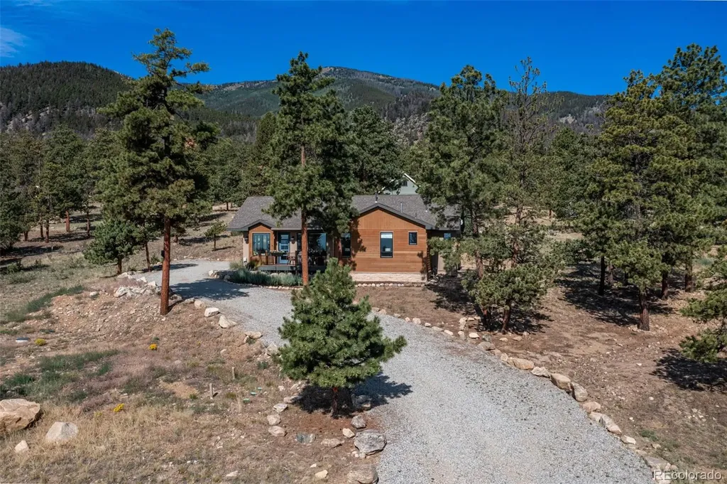 18737 Trail West Drive Buena Vista CO 81211