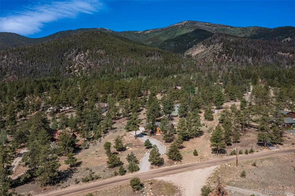 18737 Trail West Drive Buena Vista CO 81211