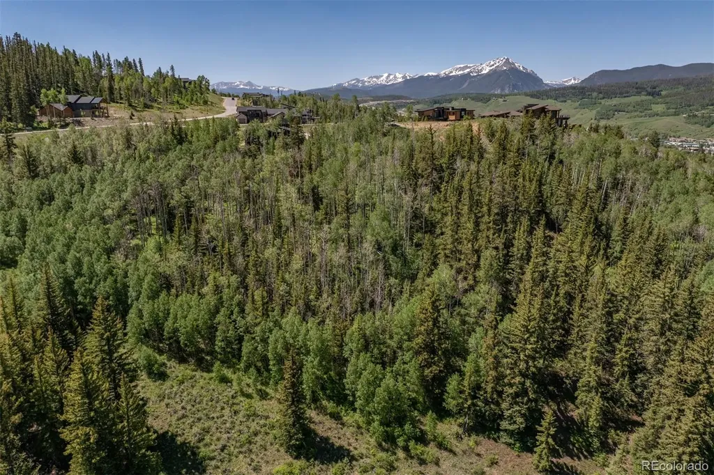 84 Mayfly Drive Silverthorne CO 80498