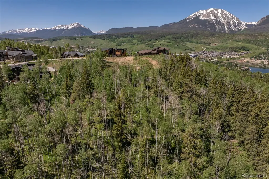 84 Mayfly Drive Silverthorne CO 80498