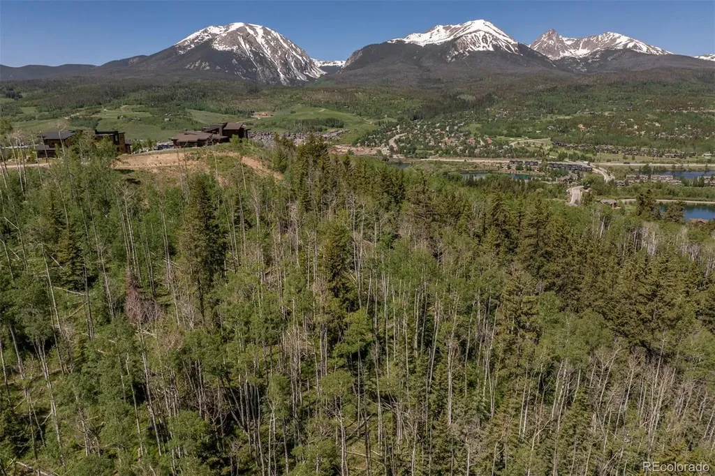 84 Mayfly Drive Silverthorne CO 80498