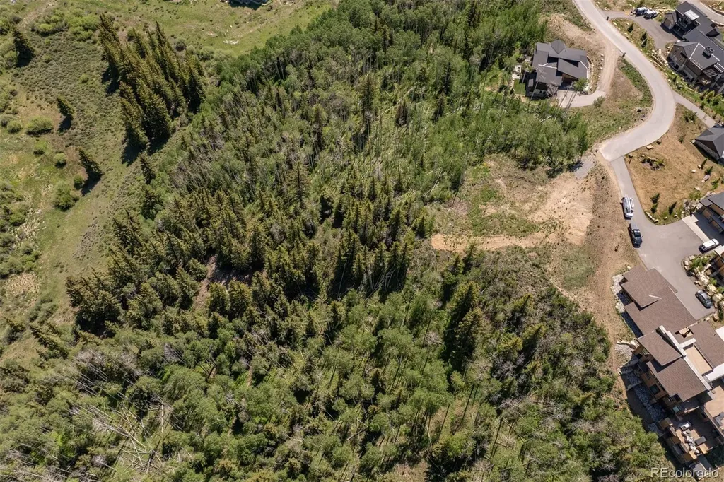 84 Mayfly Drive Silverthorne CO 80498