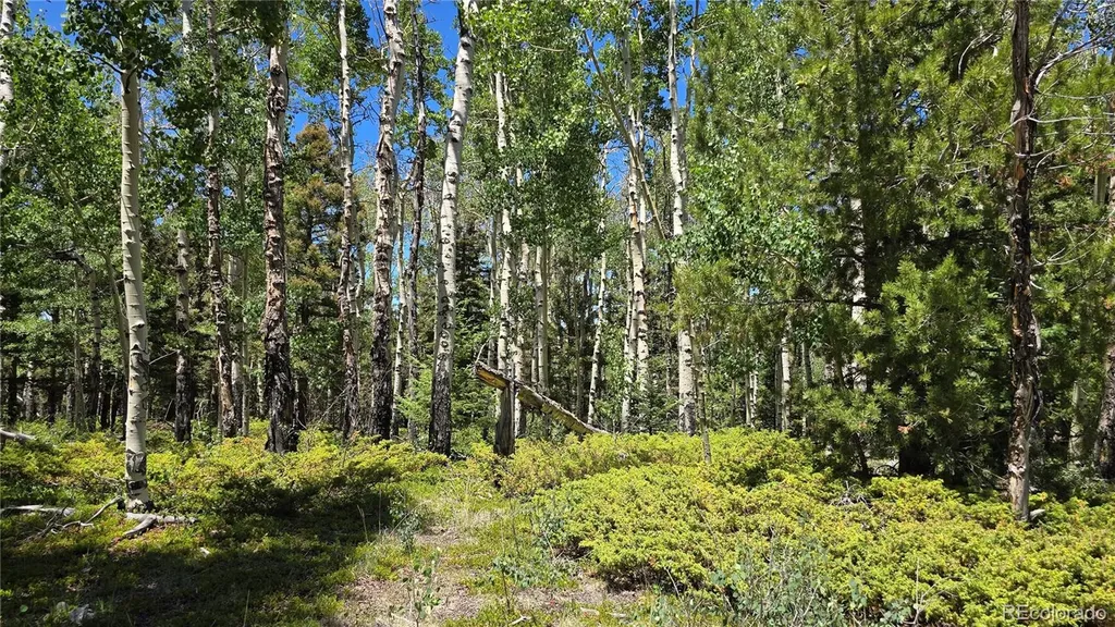 Lot 6748 Starkweather Road San Luis CO 81152