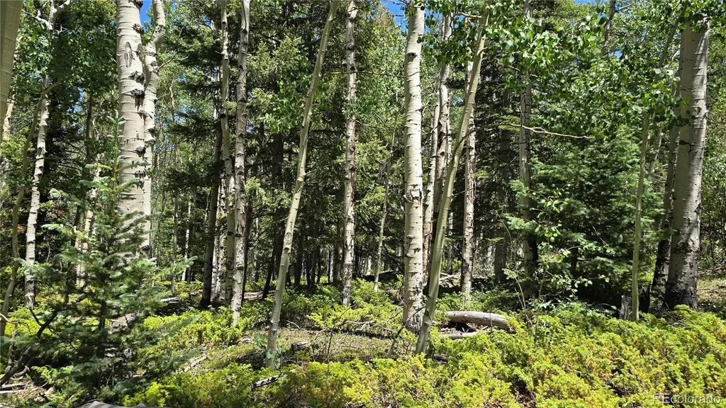 Lot 6748 Starkweather Road San Luis CO 81152