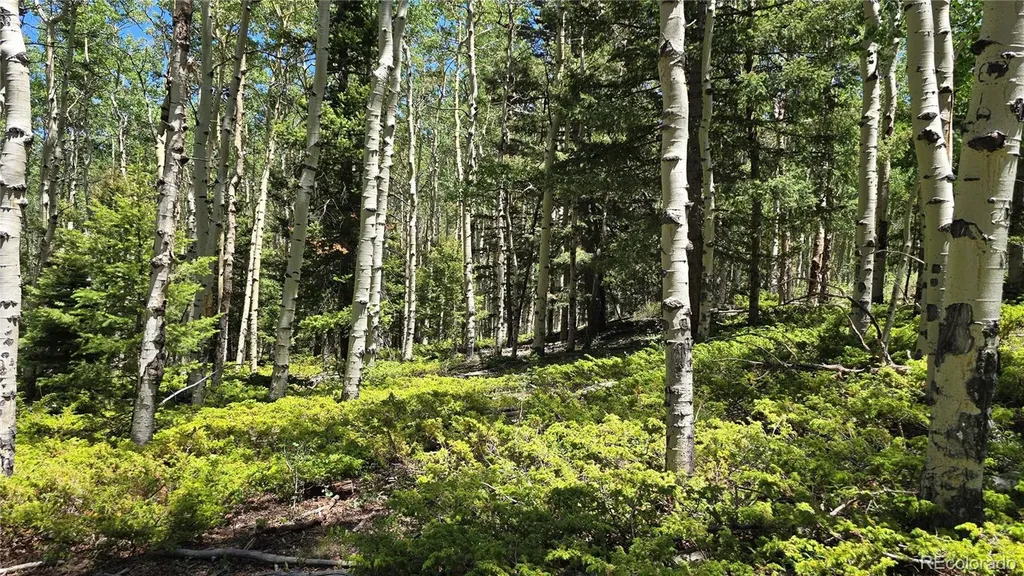 Lot 6748 Starkweather Road San Luis CO 81152