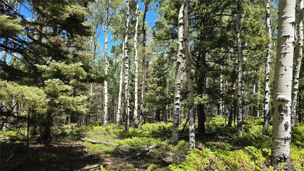 Lot 6748 Starkweather Road San Luis CO 81152