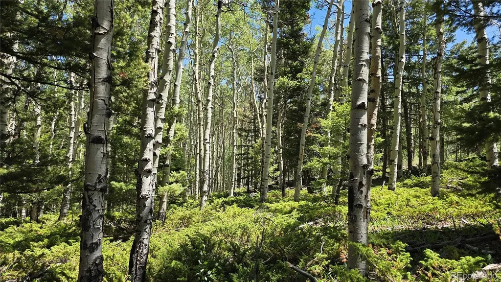 Lot 6748 Starkweather Road San Luis CO 81152