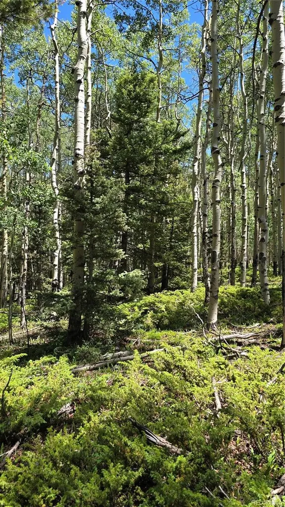 Lot 6748 Starkweather Road San Luis CO 81152