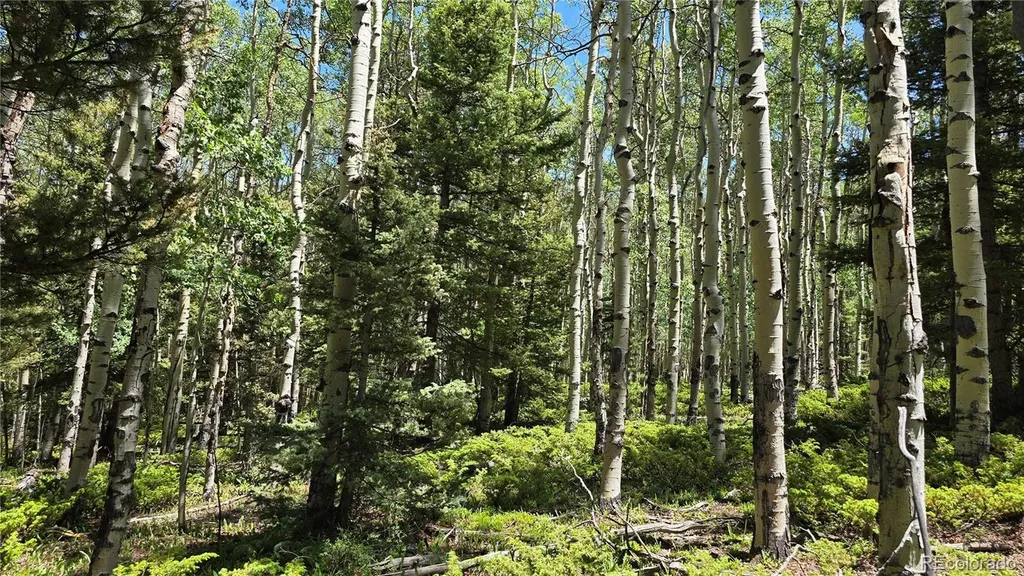 Lot 6748 Starkweather Road San Luis CO 81152