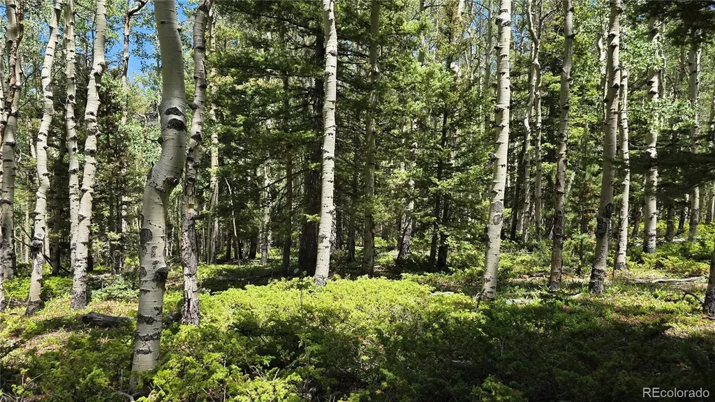 Lot 6748 Starkweather Road San Luis CO 81152