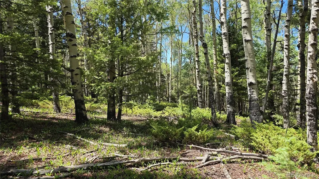 Lot 6748 Starkweather Road San Luis CO 81152