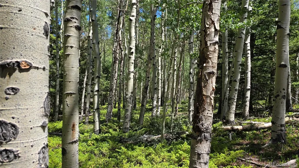 Lot 6748 Starkweather Road San Luis CO 81152