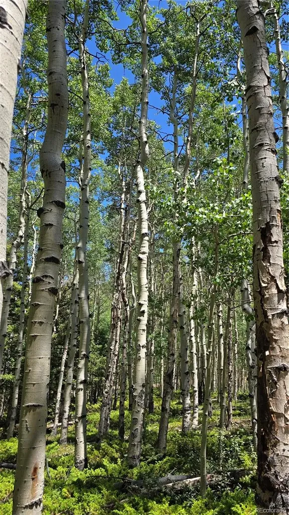 Lot 6748 Starkweather Road San Luis CO 81152