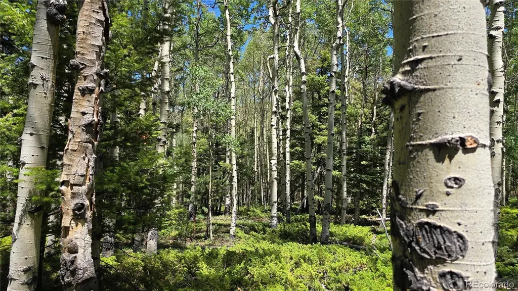 Lot 6748 Starkweather Road San Luis CO 81152