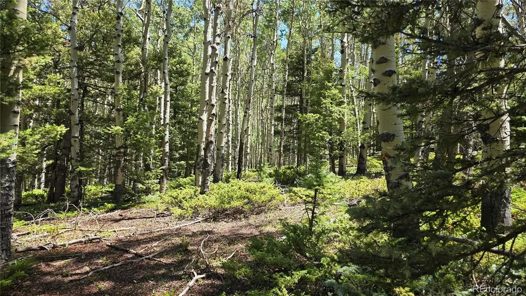 Lot 6748 Starkweather Road San Luis CO 81152