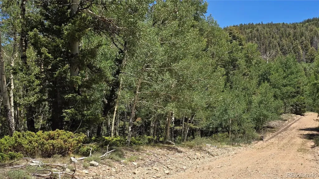Lot 6748 Starkweather Road San Luis CO 81152