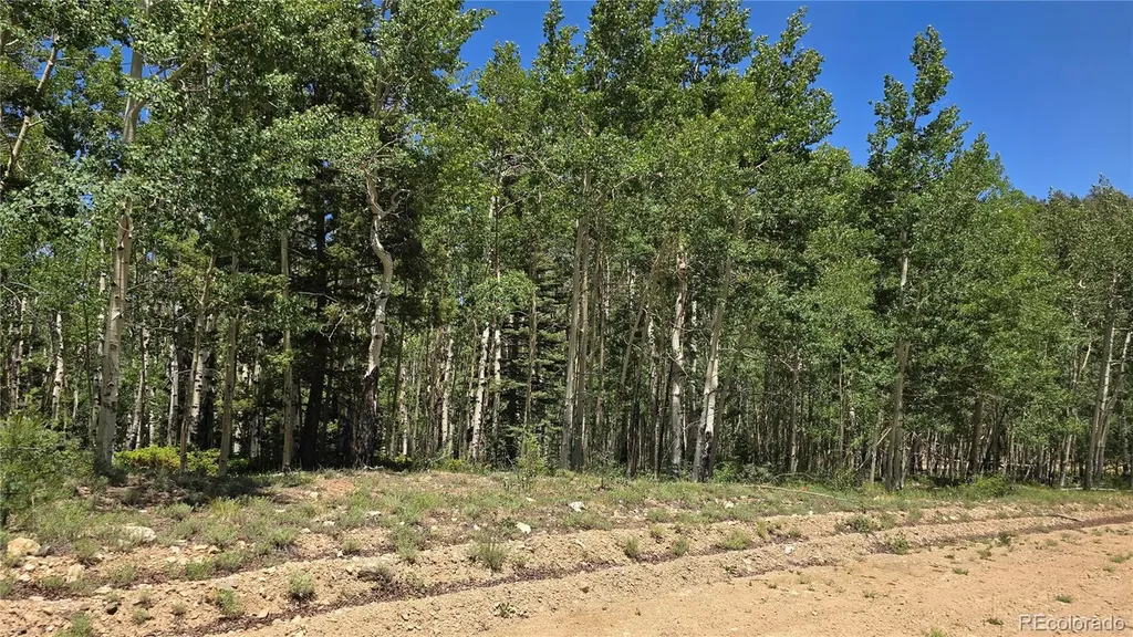 Lot 6748 Starkweather Road San Luis CO 81152