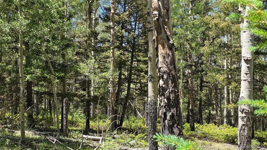 Lot 6748 Starkweather Road San Luis CO 81152