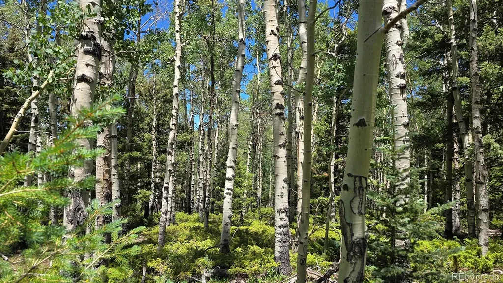 Lot 6748 Starkweather Road San Luis CO 81152