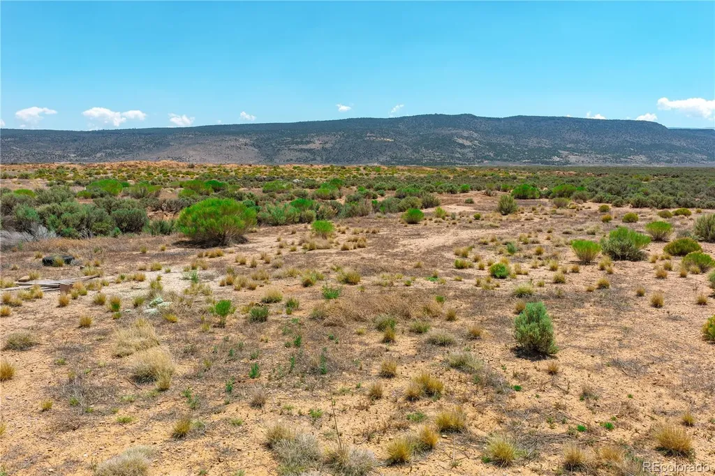 3828 County Road 12.5 San Luis CO 81152