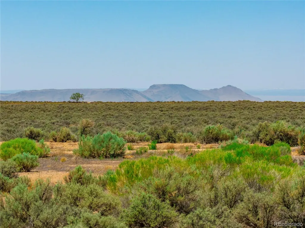3828 County Road 12.5 San Luis CO 81152