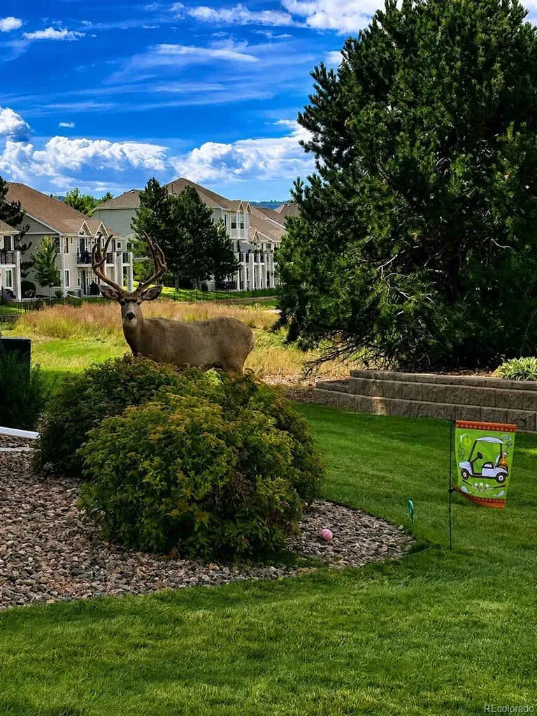 2933 Newport Circle Castle Rock CO 80104