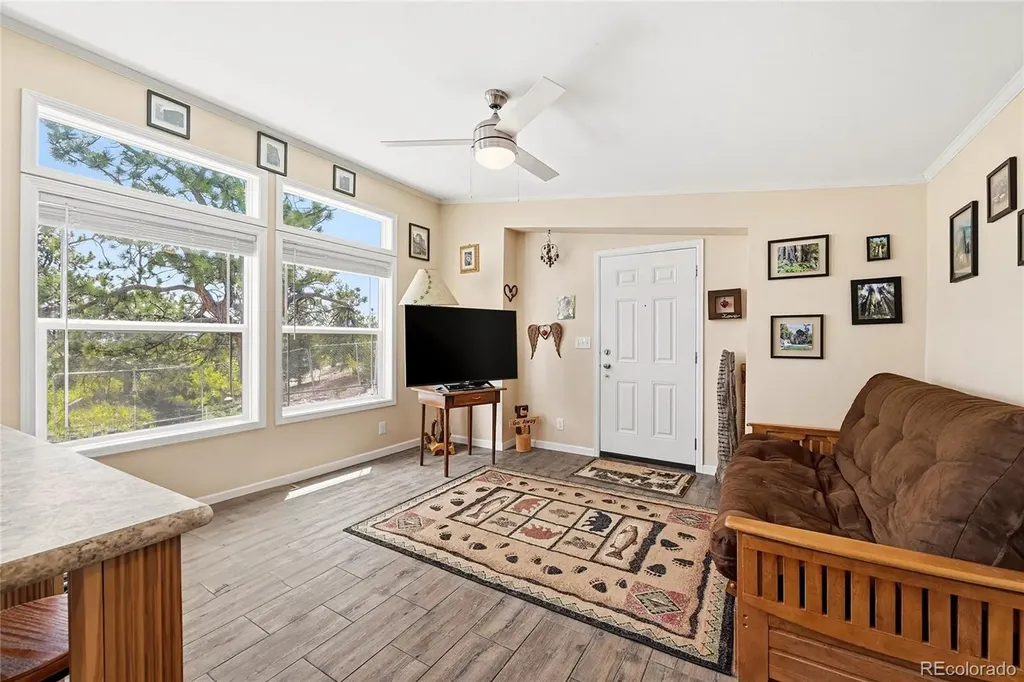 291 Bandolier Court Hartsel CO 80449