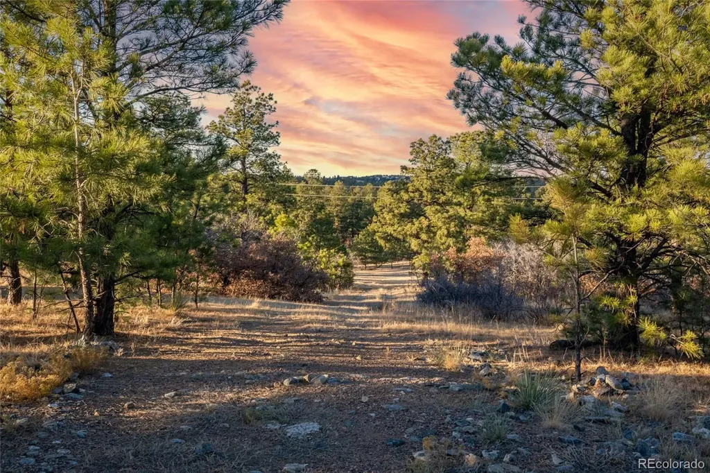 10421 Remmick Ridge Road Parker CO 80134