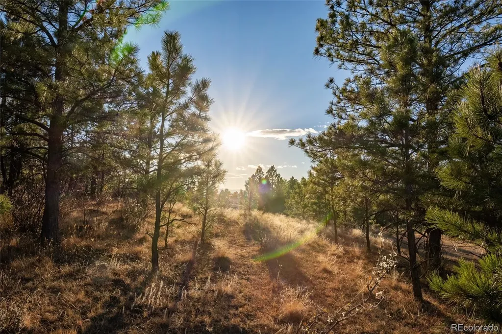10421 Remmick Ridge Road Parker CO 80134