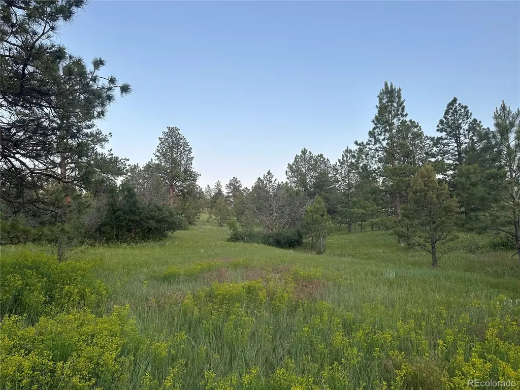 10421 Remmick Ridge Road Parker CO 80134