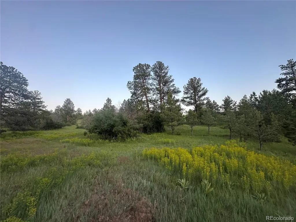 10421 Remmick Ridge Road Parker CO 80134